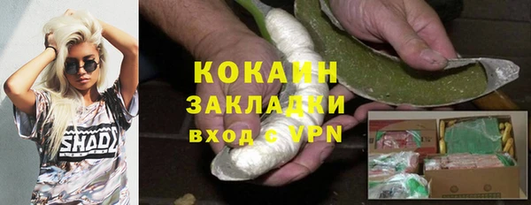 соль ск Верея