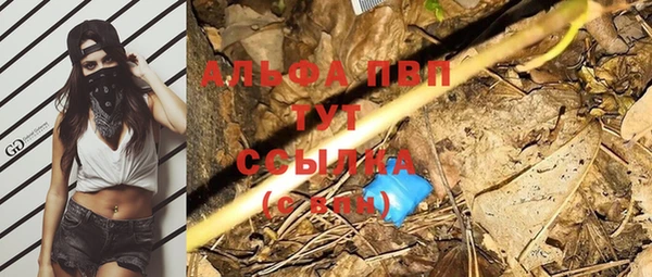 стаф Снежногорск