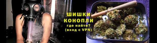 сатива Верхний Тагил