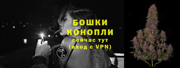 сатива Верхний Тагил