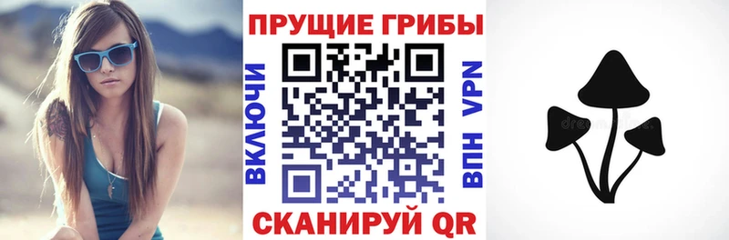 где можно купить   Кингисепп  Псилоцибиновые грибы мухоморы 